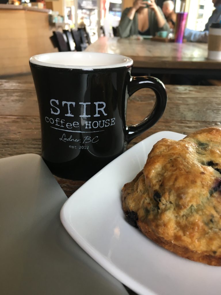 A picture taken inside a coffee shop. It shows a table on which is a laptop computer, a close up of a coffee mug that reads 'Stir Coffee House' and a blueberry scone sits on a  white plate 