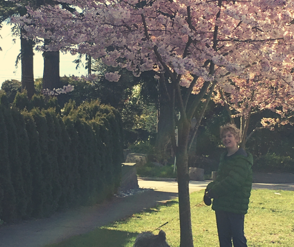 Boy walking his cairn terrier dog standing under a blossoming cherry tree with the ocean and trees in the background